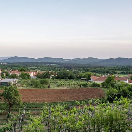 Apartma Oddih Dutovlje Bagian luar foto